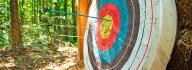 arrows on target from archery