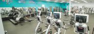 Cardio equipment including bikes, treadmills, steppers and ellipticals in the wellness center at the Hilltop Family YMCA