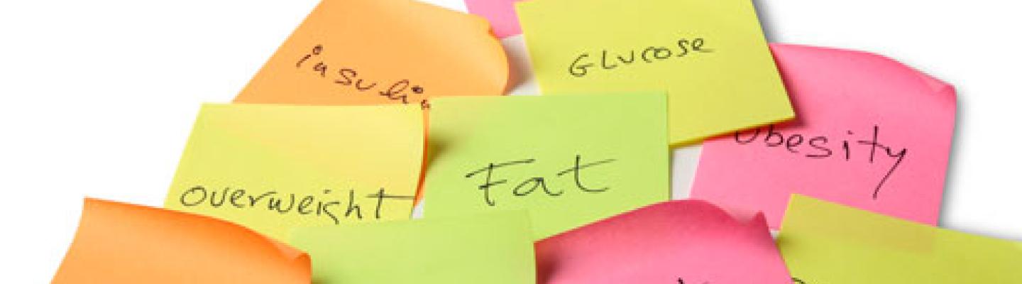 Group of sticky notes with one word on each: diabetes, insulin, glucose, overweight, fat, obesity, carbs, sugar, diet, pancreas