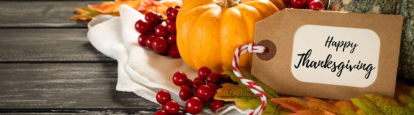 Cornucopia horn of plenty with berries, squash and tag that reads "Happy Thanksgiving"