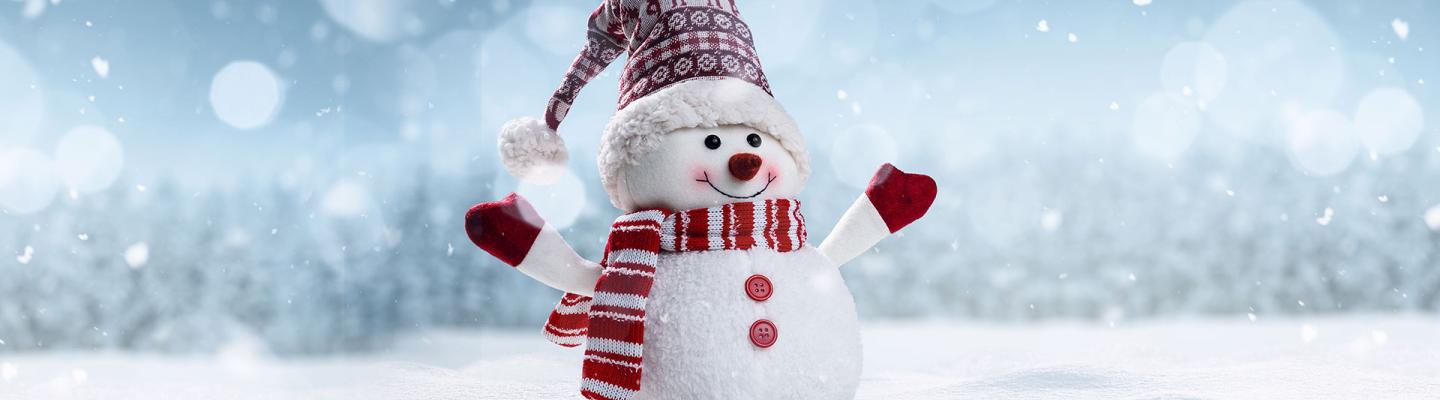 Tiny snowman in a winter scene