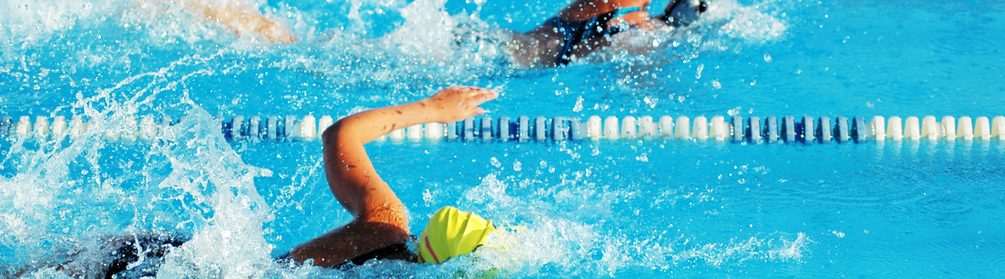Female Sports Freestyle Swimmers Racing in Swimming Pool