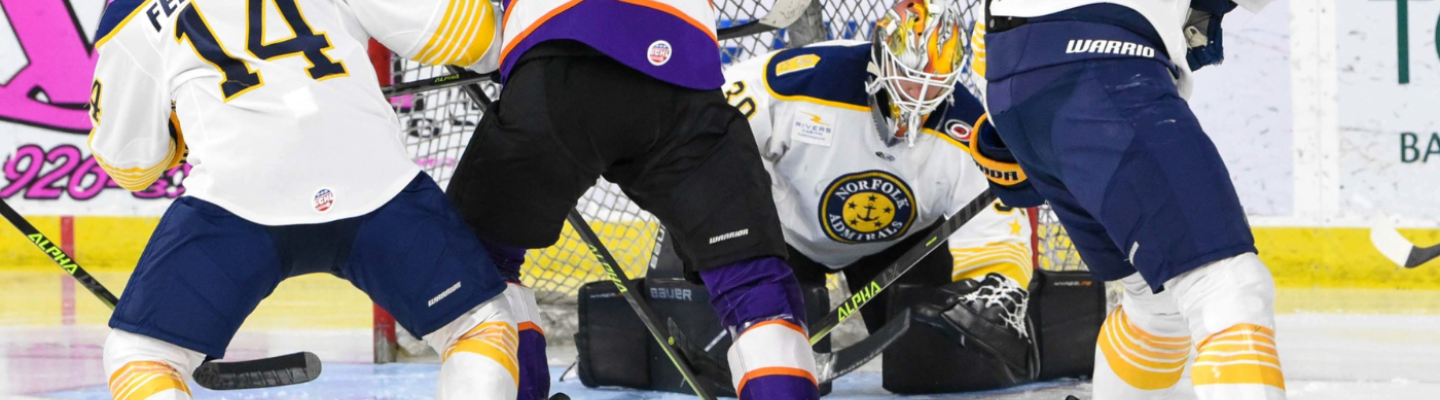 Norfolk Admirals Hockey Goalie