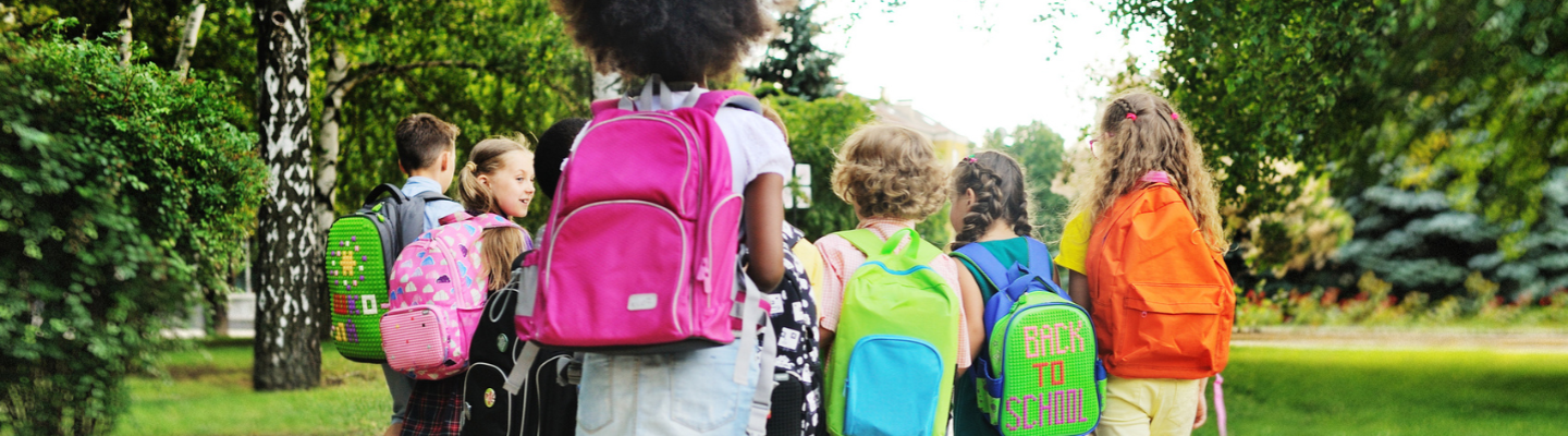 Group of school children with school bags and backpacks go to school, view from the back