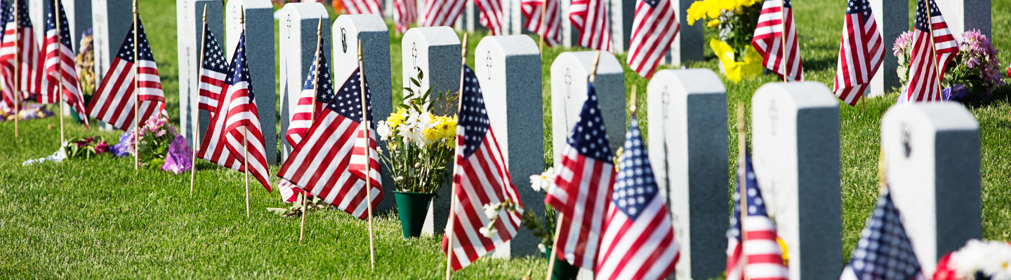 Flags at Arlington Cemetery