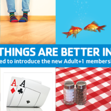 some things are better in pairs graphic