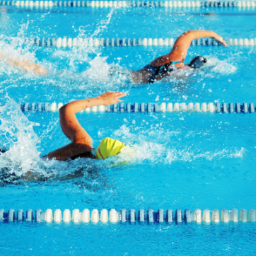 Female swimmers swimming freestyle in a swim meet in a swimming pool