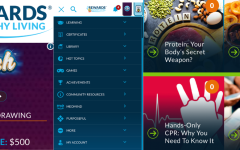 Graphics from a game app; Rewards for Healthy Living