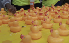 Rubber duckies