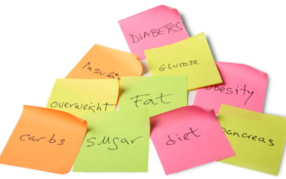 Group of sticky notes with one word on each: diabetes, insulin, glucose, overweight, fat, obesity, carbs, sugar, diet, pancreas