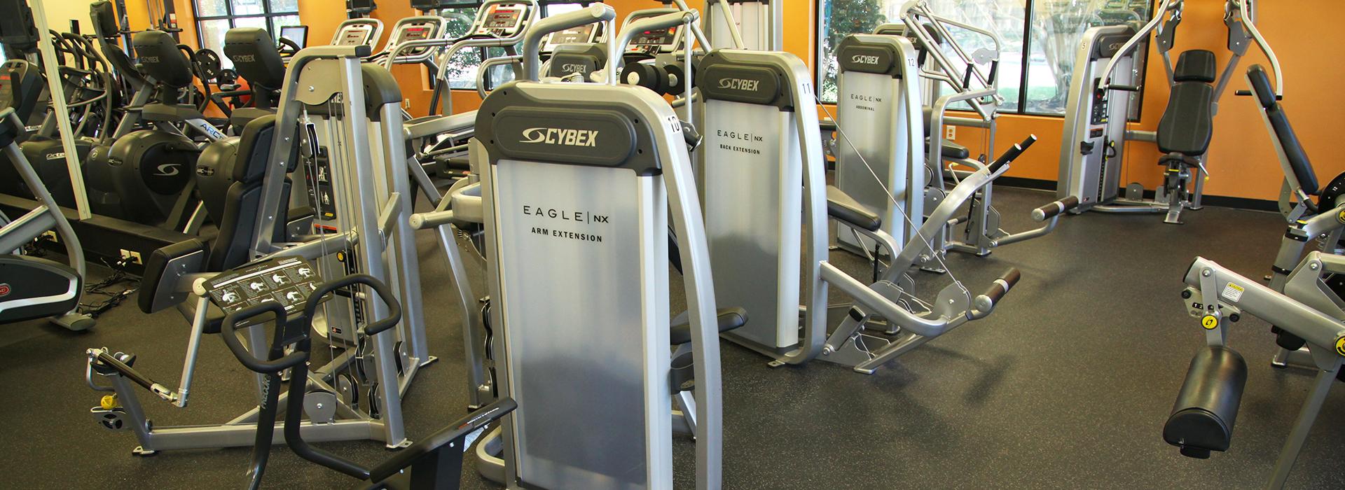 Effingham Street Family YMCA YMCA of South Hampton Roads