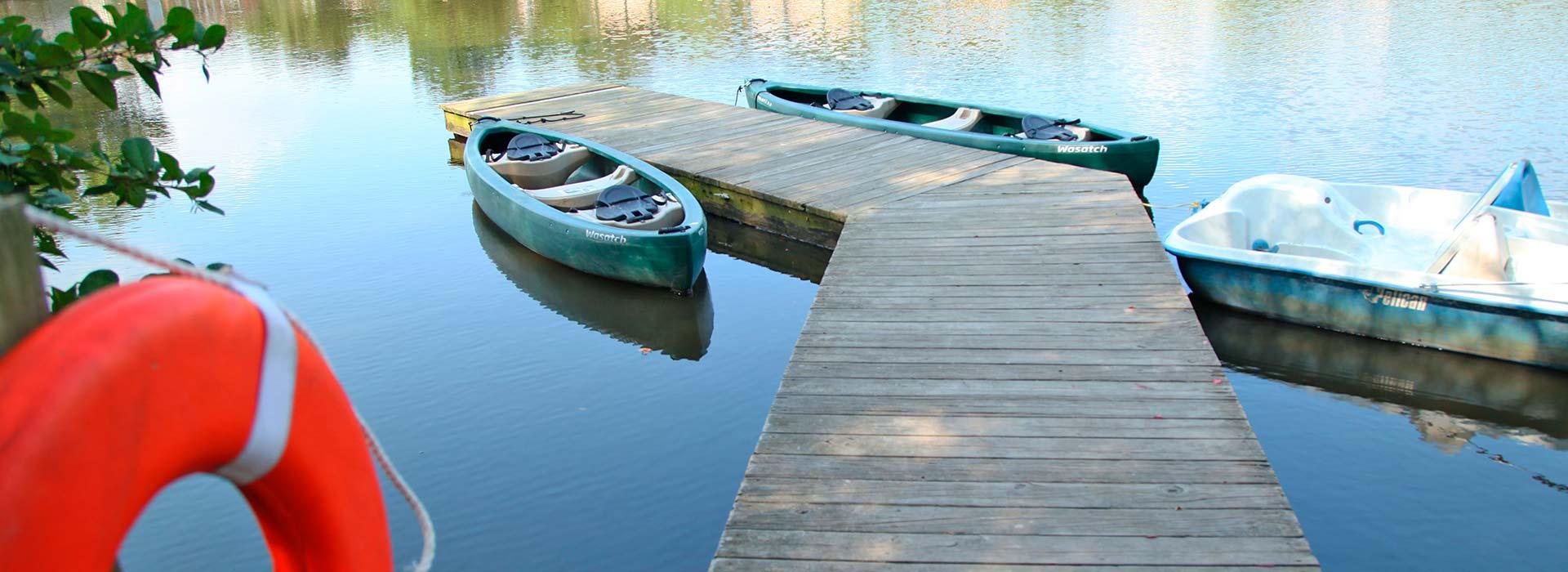 dock on the pond