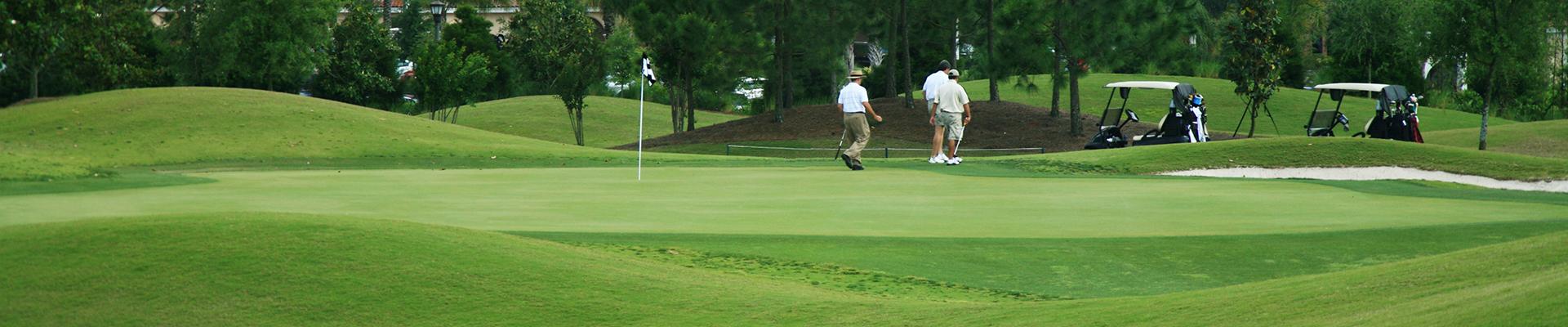 This image shows golfers walking along a rolling greens at a golf course.