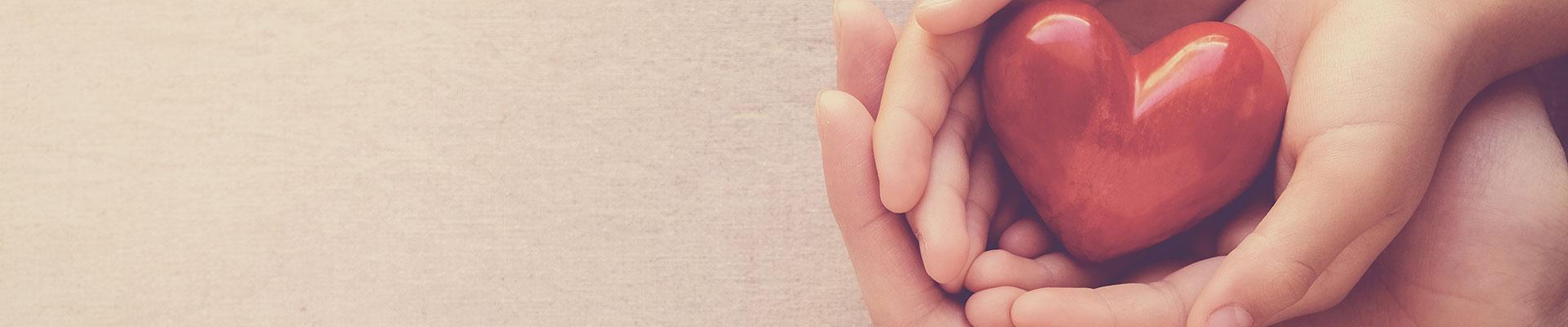 Heart in child and adult hands