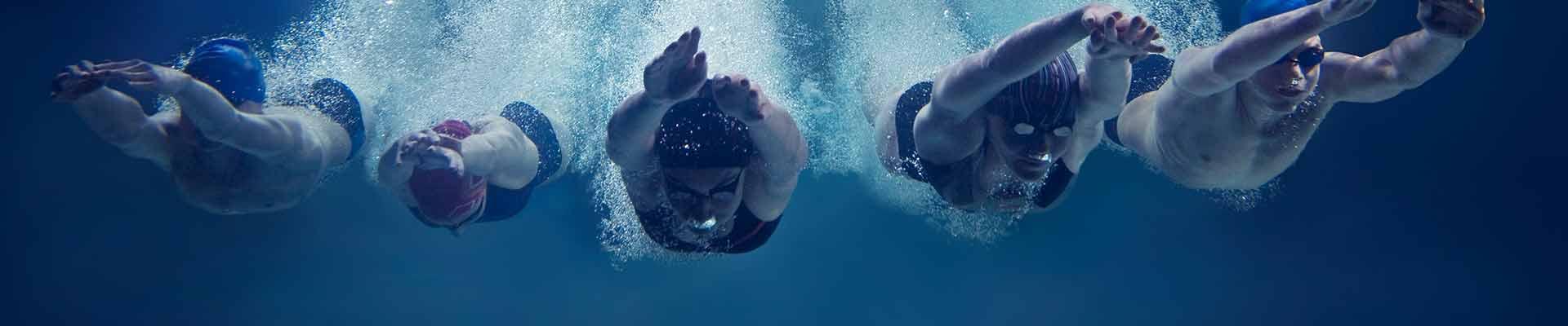 Row of underwater swimmers