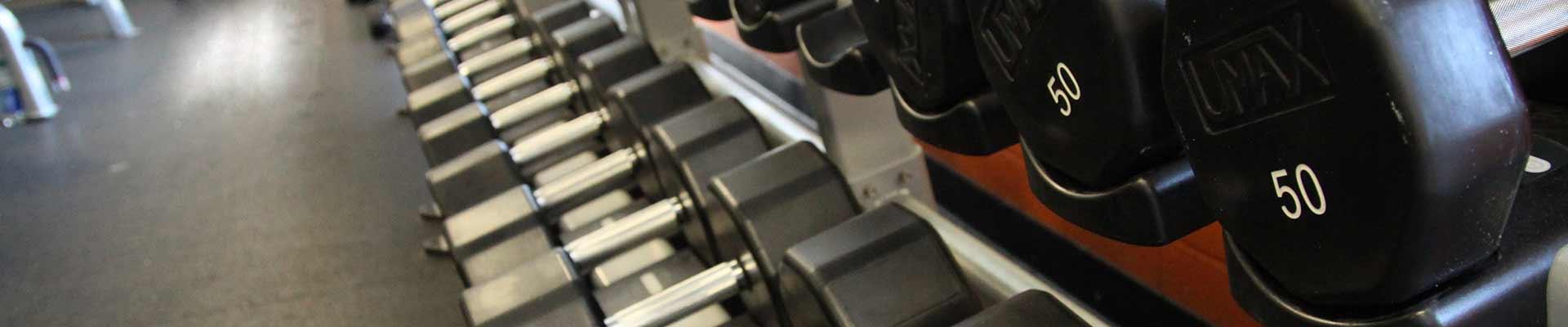 Row of dumbbells in wellness center at the Y