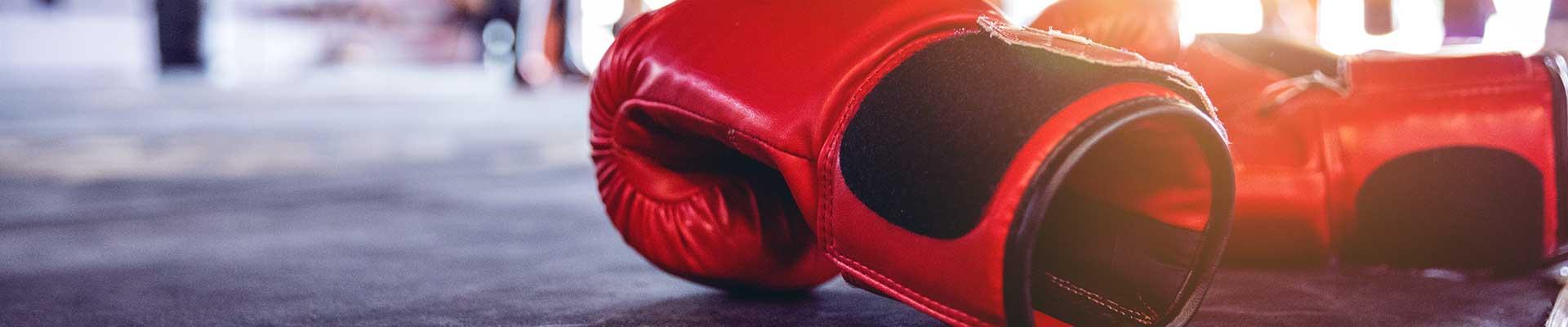 Boxing Gloves