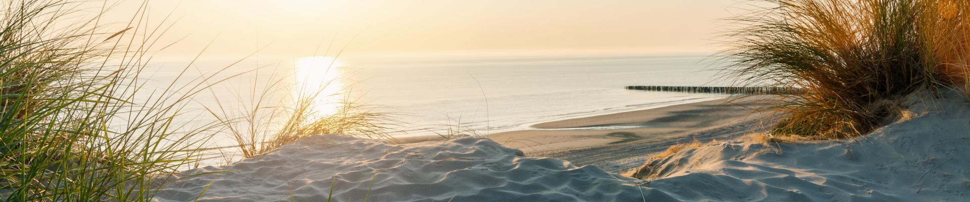 Sunset on the beach with sea grasses and distant pier