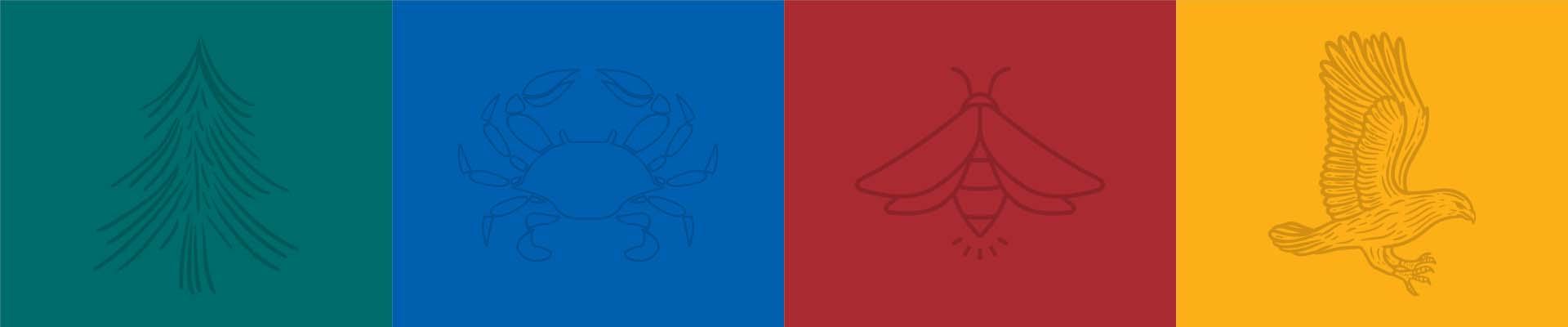 Green, blue, red and yellow banner with a tree, crab, firefly, and hawk for Camp Silver Beach House Cup Heroes challenge