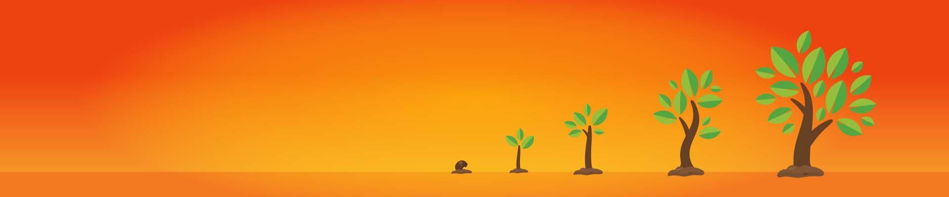 Illustration demonstrating the planting of a seed through stages leading to a fully bloomed tree