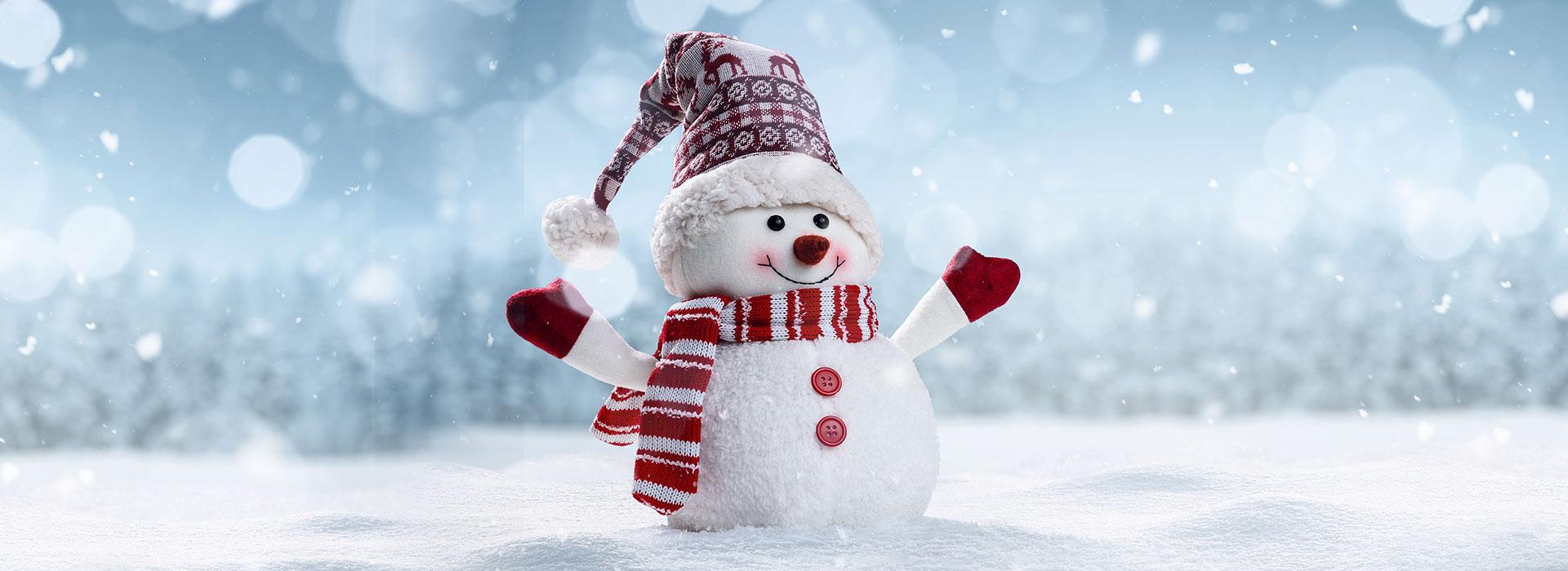 Tiny snowman in a winter scene