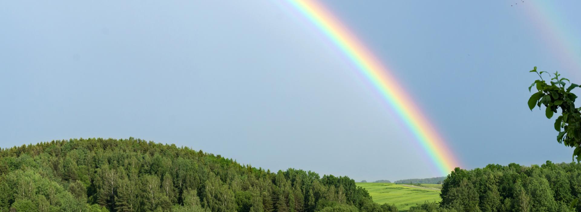 Double rainbow over grass and trees