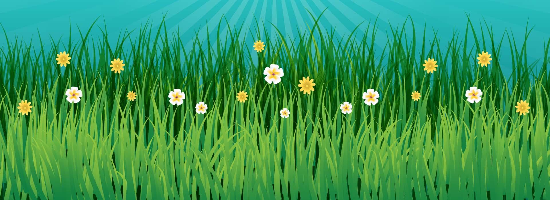 illustration of flowers in grass against blue sky