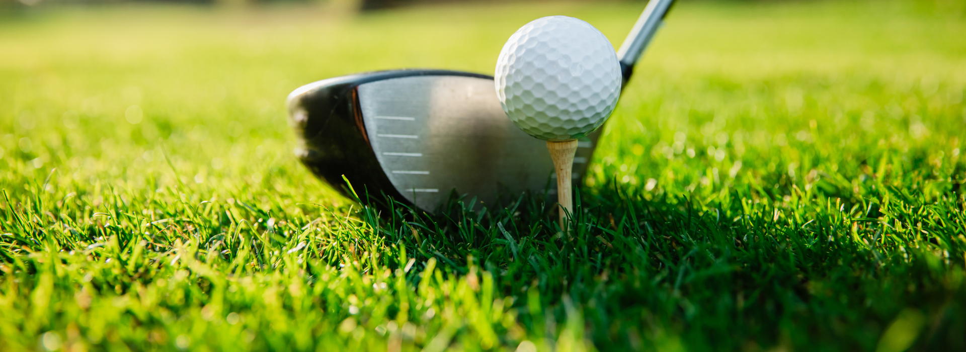 Close up of a golf club and ball on the green